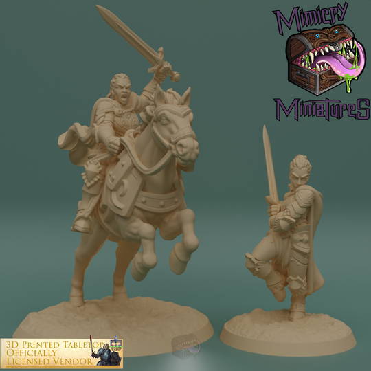 Imani Kingsguard - The Lost Adventures from 3D Printed Tabletop